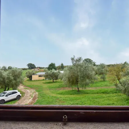 Awesome In Vignanello