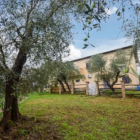 Awesome In Vignanello